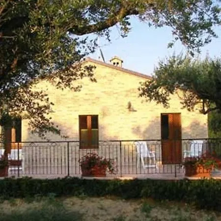La Cicala *