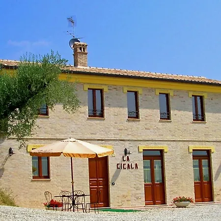 La Cicala Carassai