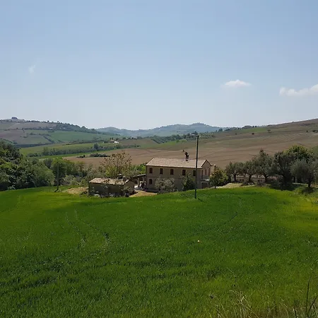 La Cicala * Carassai