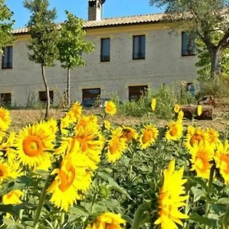 La Cicala Farmház Carassai