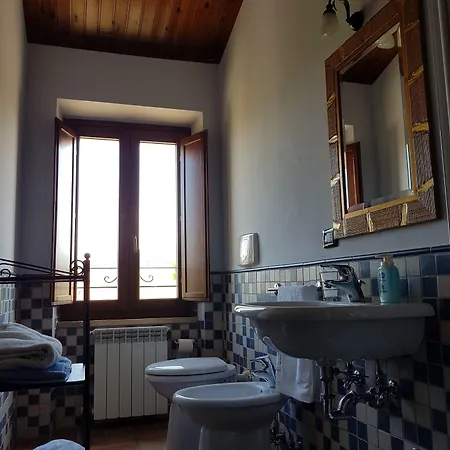 La Cicala