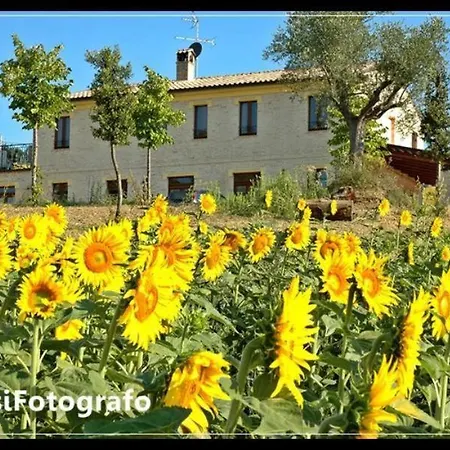 Agroturismo La Cicala *
