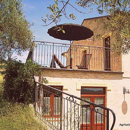 La Cicala * Carassai