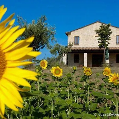 La Cicala Farm stay